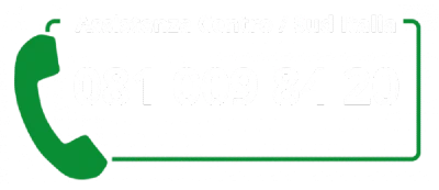 Assistenza Centro e Sud Italia, 081 009 84 20